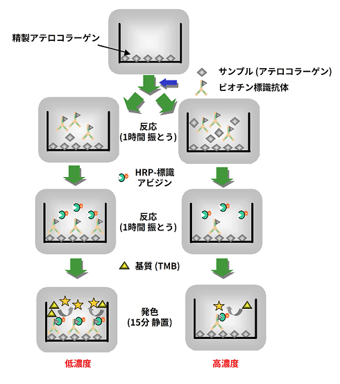 測定手順